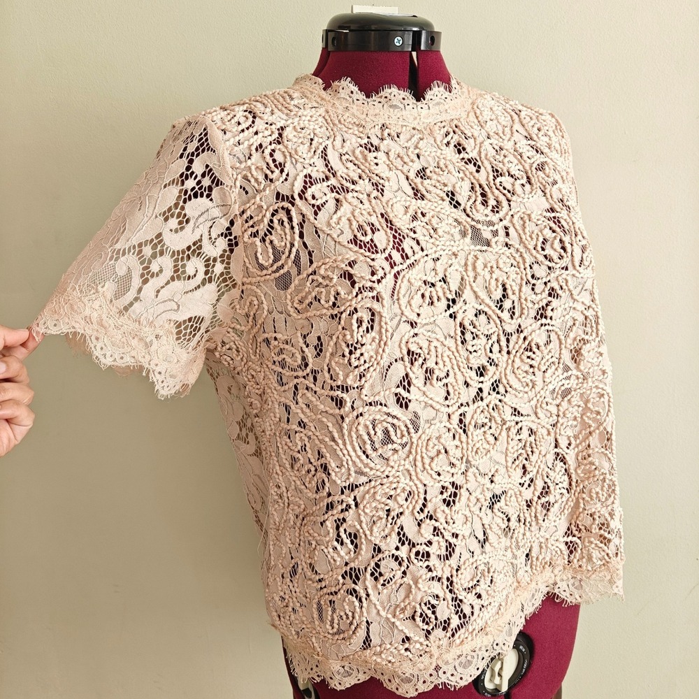 Black Tape Womens Pale Pink Beige Floral Guipure Lace Short Sleeve Top XL NWT